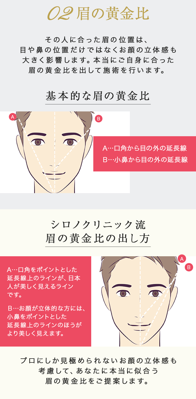 02 眉の黄金比