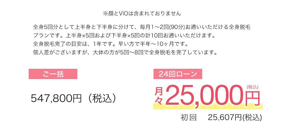24回ローン 月々25,000円（税込）