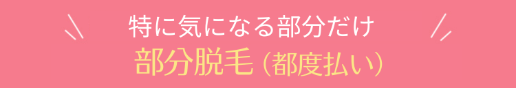 特に気になる部分だけ　部分脱毛