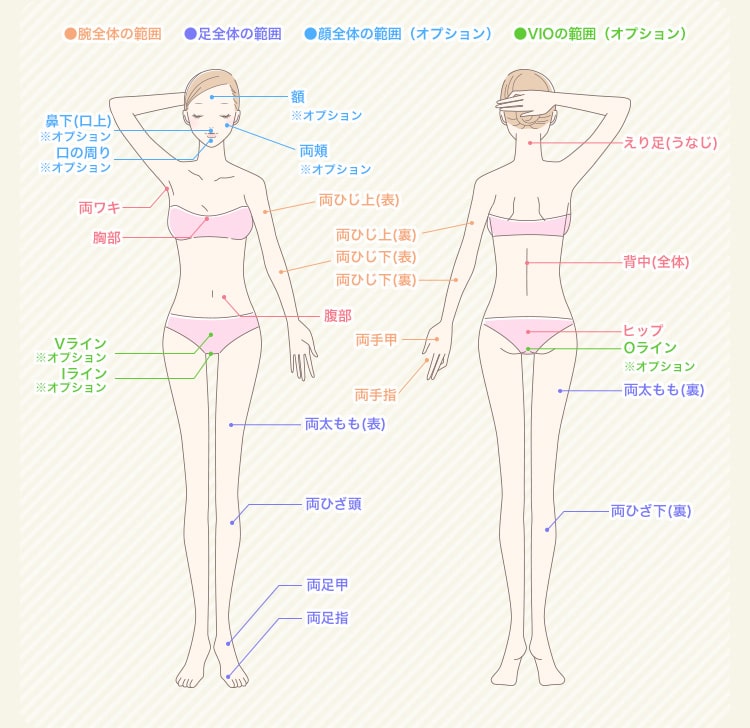脱毛部位一覧