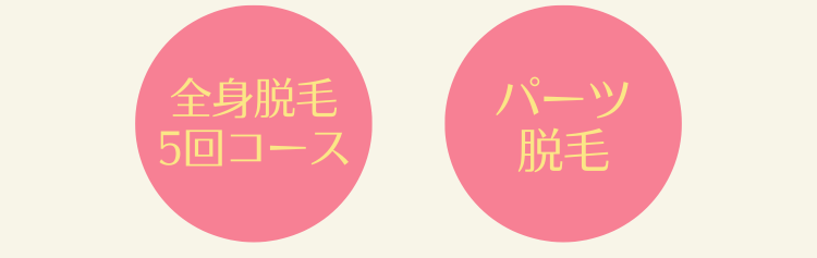 2つの脱毛プラン