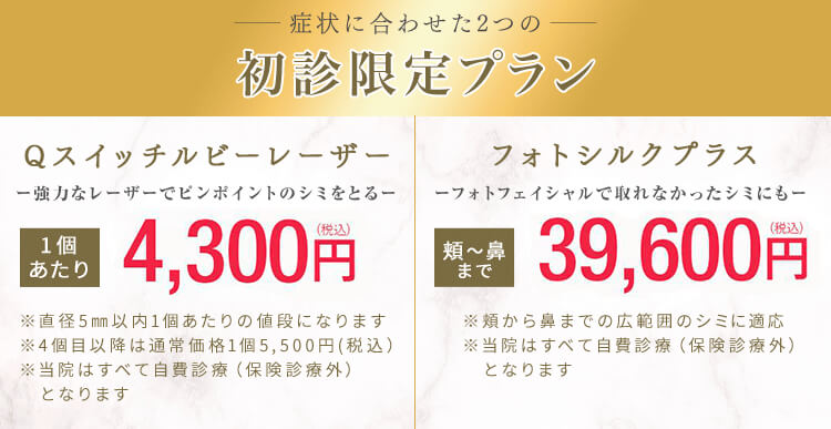 プランA Qスイッチルビーレーザー 初回限定 4,300円 プランB フォトシルクプラス 取り放題 39,600円